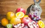 Какие овощи и фрукты можно давать кроликам
