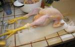 Как ощипать курицу дома