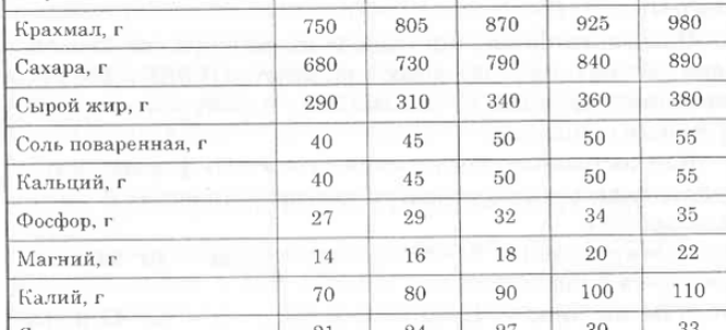 Быки производители: особенности кормления