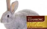 Инструкция по применению кокцидиостатиков для кроликов